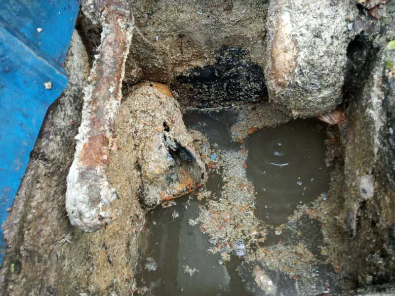 河西区体院北专业疏通下水道，更换铸铁管立管